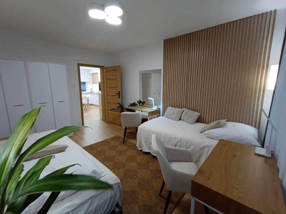 דירות Stary Toruń Apartament Podgorna 19 מראה חיצוני תמונה