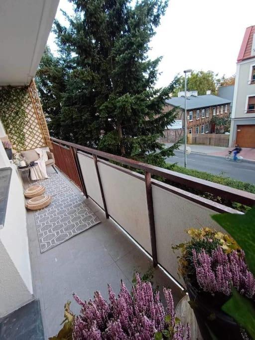 דירות Stary Toruń Apartament Podgorna 19 מראה חיצוני תמונה