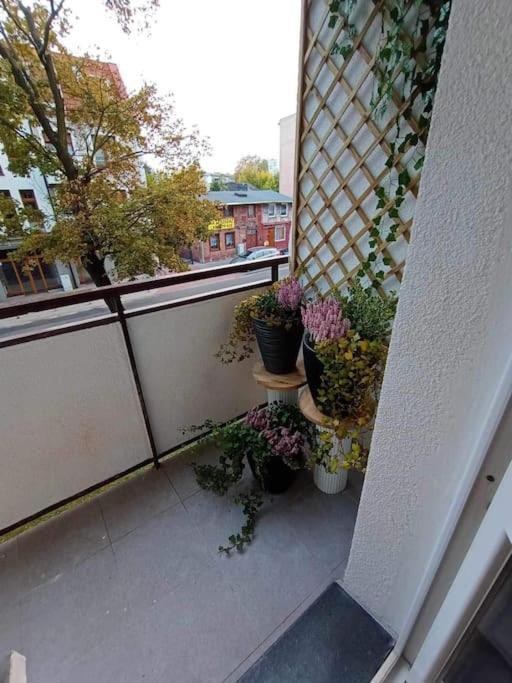 דירות Stary Toruń Apartament Podgorna 19 מראה חיצוני תמונה
